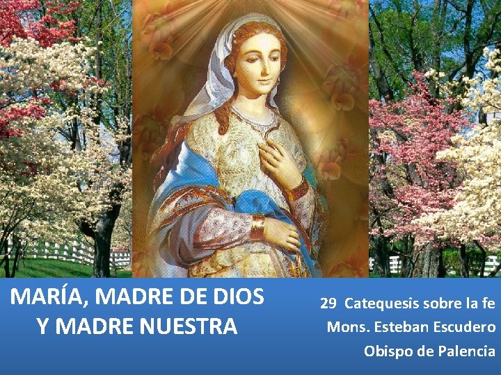 MARÍA, MADRE DE DIOS Y MADRE NUESTRA 29 Catequesis sobre la fe Mons. Esteban