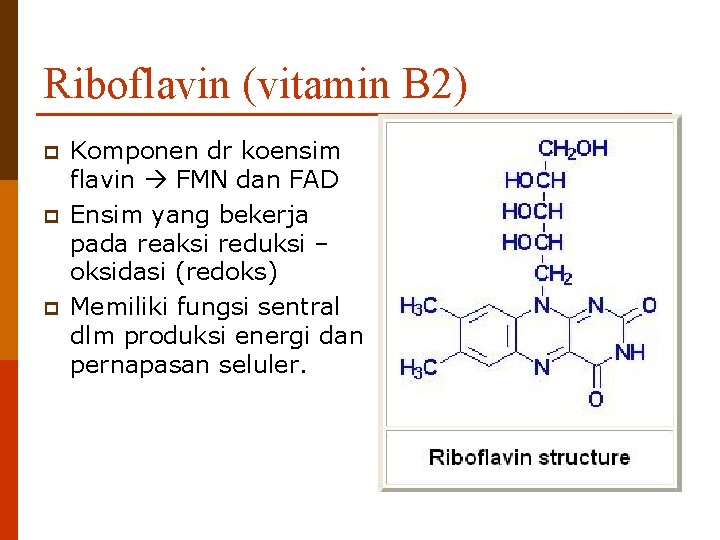 Riboflavin (vitamin B 2) p p p Komponen dr koensim flavin FMN dan FAD