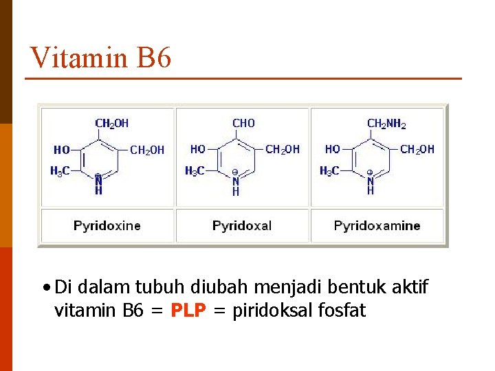 Vitamin B 6 • Di dalam tubuh diubah menjadi bentuk aktif vitamin B 6