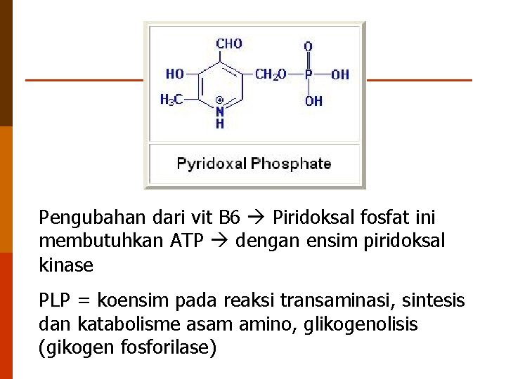 Pengubahan dari vit B 6 Piridoksal fosfat ini membutuhkan ATP dengan ensim piridoksal kinase