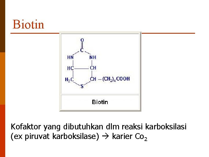 Biotin Kofaktor yang dibutuhkan dlm reaksi karboksilasi (ex piruvat karboksilase) karier Co 2 