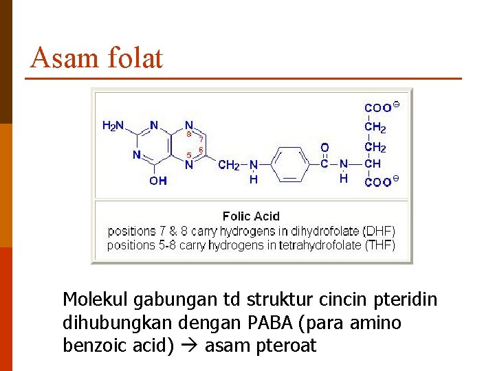 Asam folat Molekul gabungan td struktur cincin pteridin dihubungkan dengan PABA (para amino benzoic