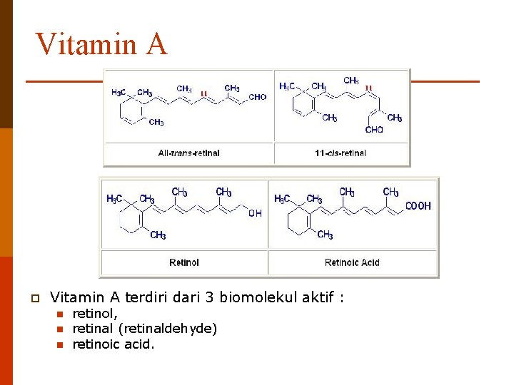 Vitamin A p Vitamin A terdiri dari 3 biomolekul aktif : n n n
