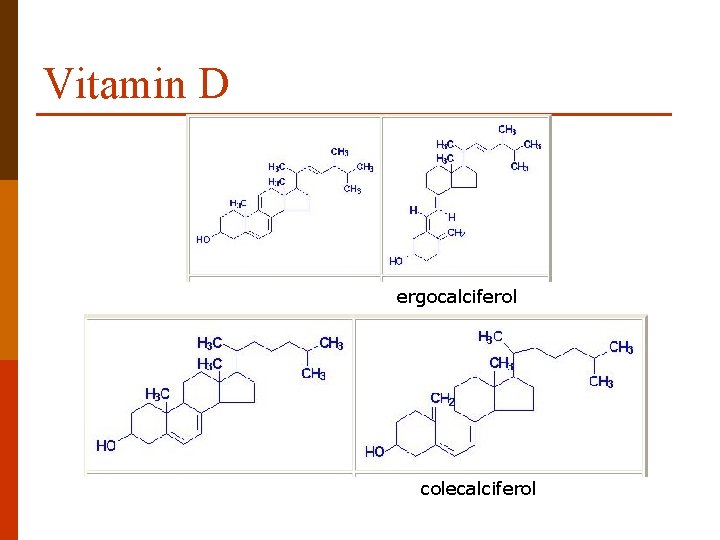 Vitamin D ergocalciferol colecalciferol 