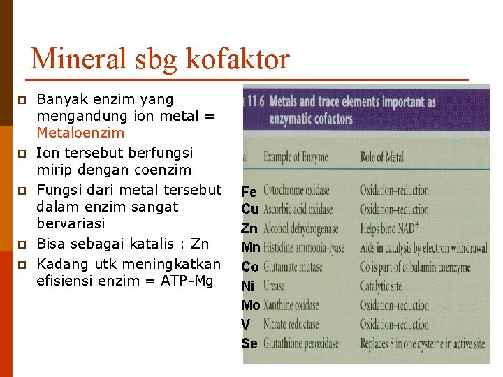 Mineral sbg kofaktor p p p Banyak enzim yang mengandung ion metal = Metaloenzim