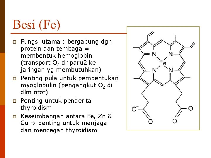 Besi (Fe) p p Fungsi utama : bergabung dgn protein dan tembaga = membentuk