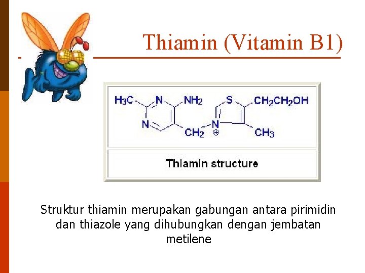 Thiamin (Vitamin B 1) Struktur thiamin merupakan gabungan antara pirimidin dan thiazole yang dihubungkan