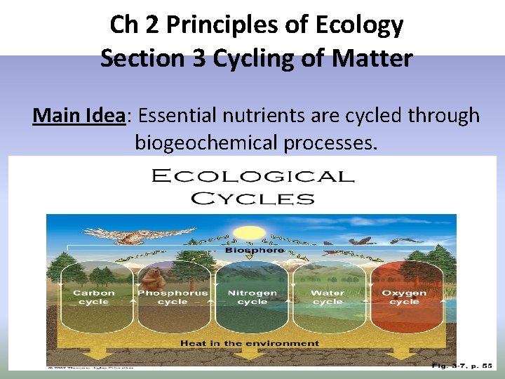 Lesson Overview Cycles of Matter Ch 2 Principles of Ecology Section 3 Cycling of