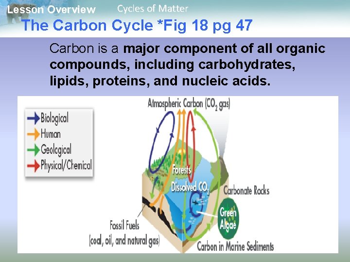 Lesson Overview Cycles of Matter The Carbon Cycle *Fig 18 pg 47 Carbon is