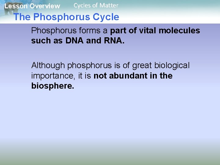 Lesson Overview Cycles of Matter The Phosphorus Cycle Phosphorus forms a part of vital