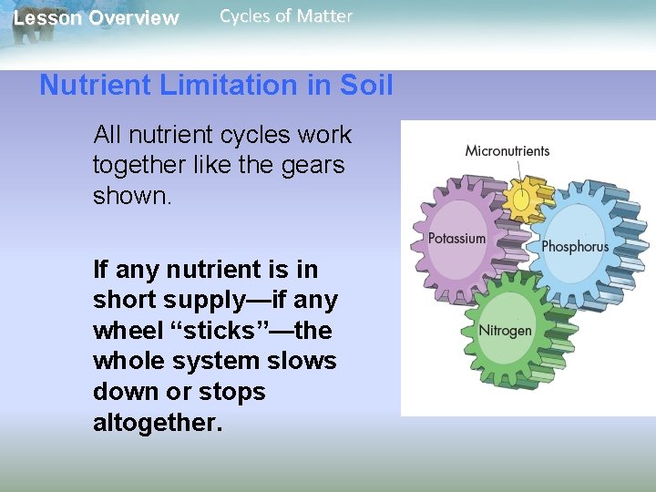 Lesson Overview Cycles of Matter Nutrient Limitation in Soil All nutrient cycles work together