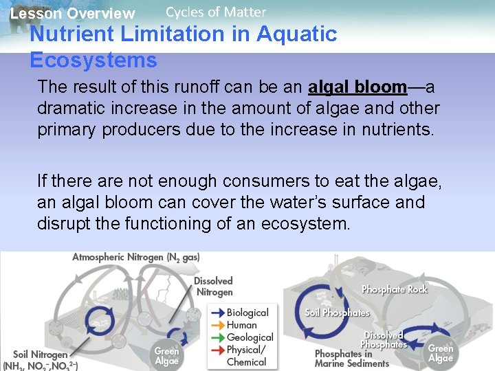 Lesson Overview Cycles of Matter Nutrient Limitation in Aquatic Ecosystems The result of this