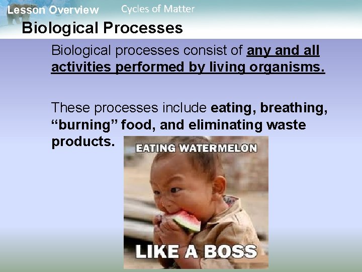 Lesson Overview Cycles of Matter Biological Processes Biological processes consist of any and all