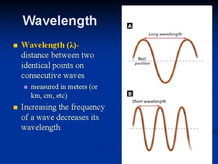 Wavelength n Wavelength (λ)distance between two identical points on consecutive waves n n measured