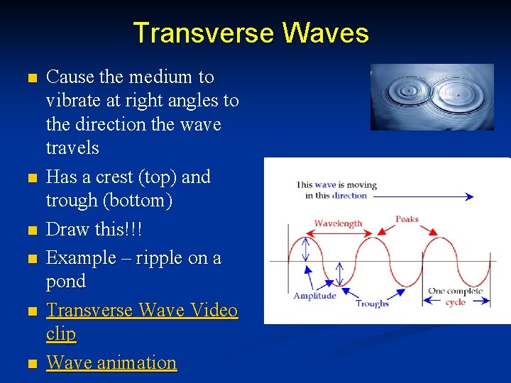 Transverse Waves n n n Cause the medium to vibrate at right angles to