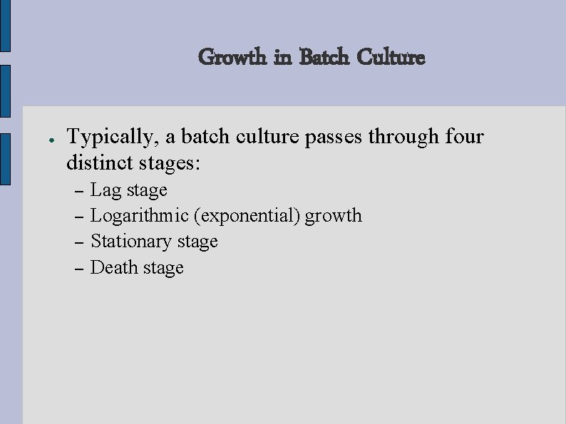 Growth in Batch Culture ● Typically, a batch culture passes through four distinct stages: