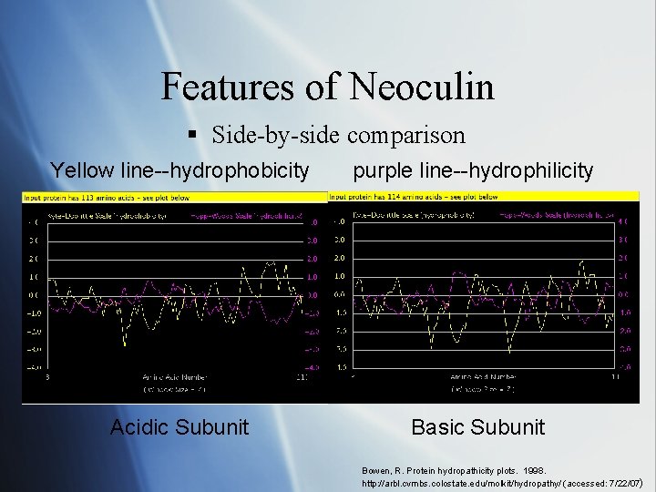 Features of Neoculin § Side-by-side comparison Yellow line--hydrophobicity purple line--hydrophilicity Acidic Subunit Basic Subunit