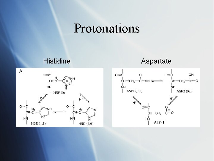 Protonations Histidine Aspartate 