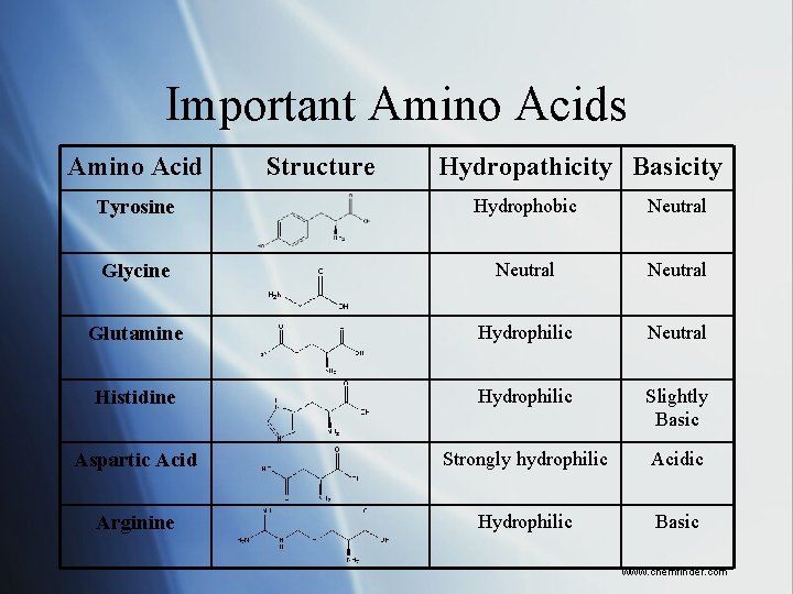 Important Amino Acids Amino Acid Structure Hydropathicity Basicity Tyrosine Hydrophobic Neutral Glycine Neutral Glutamine