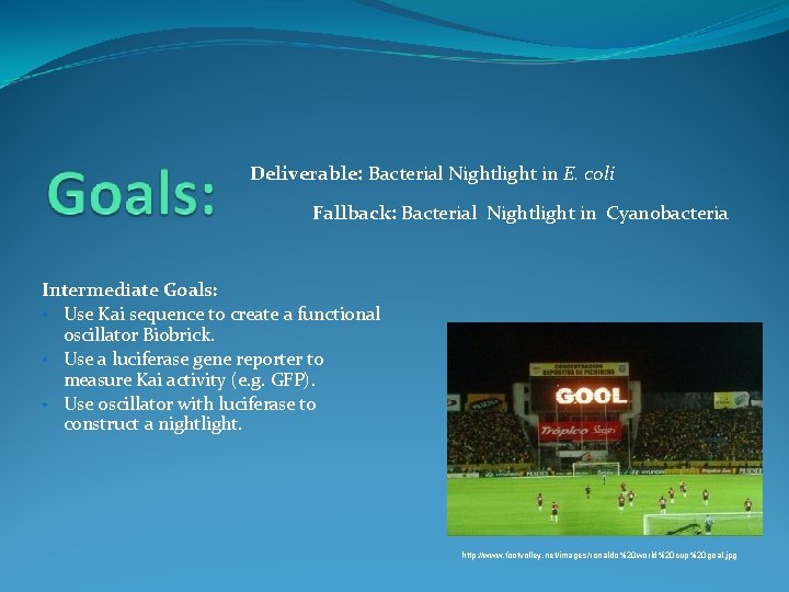 Deliverable: Bacterial Nightlight in E. coli Fallback: Bacterial Nightlight in Cyanobacteria Intermediate Goals: •
