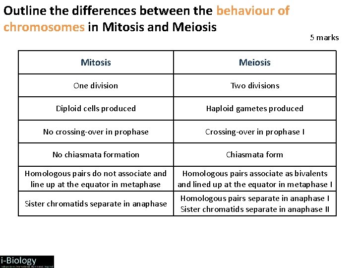 Outline the differences between the behaviour of chromosomes in Mitosis and Meiosis 5 marks