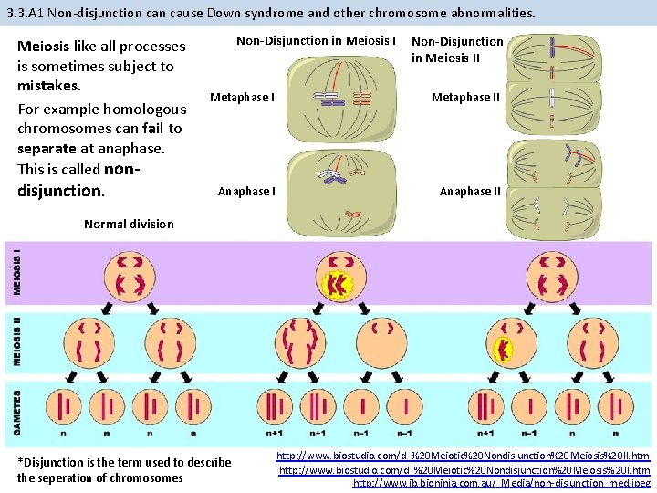 3. 3. A 1 Non-disjunction cause Down syndrome and other chromosome abnormalities. Meiosis like