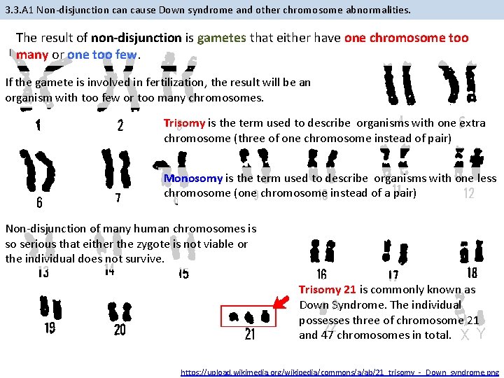 3. 3. A 1 Non-disjunction cause Down syndrome and other chromosome abnormalities. The result