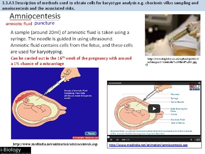 3. 3. A 3 Description of methods used to obtain cells for karyotype analysis