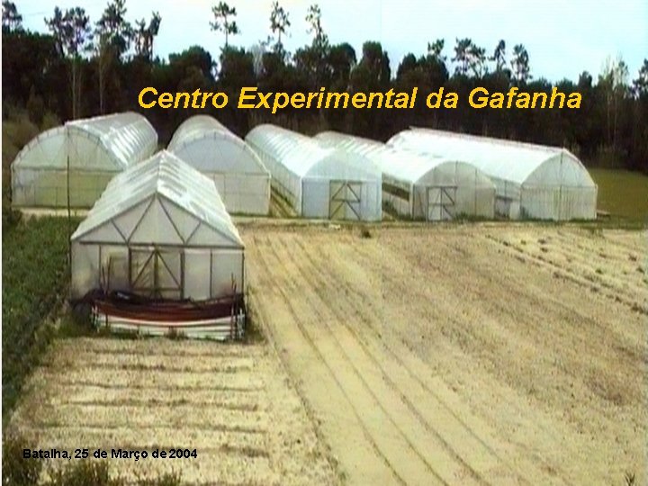 Centro Experimental da Gafanha Batalha, 25 de Março de 2004 