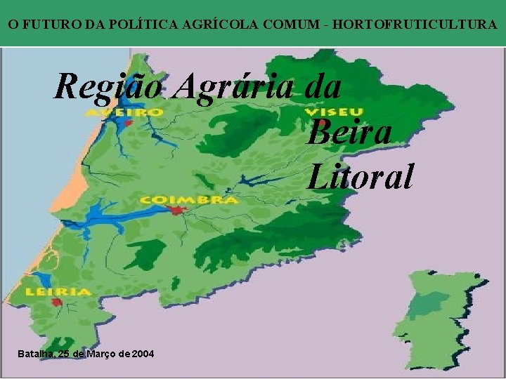 O FUTURO DA POLÍTICA AGRÍCOLA COMUM - HORTOFRUTICULTURA Região Agrária da Beira Litoral Batalha,