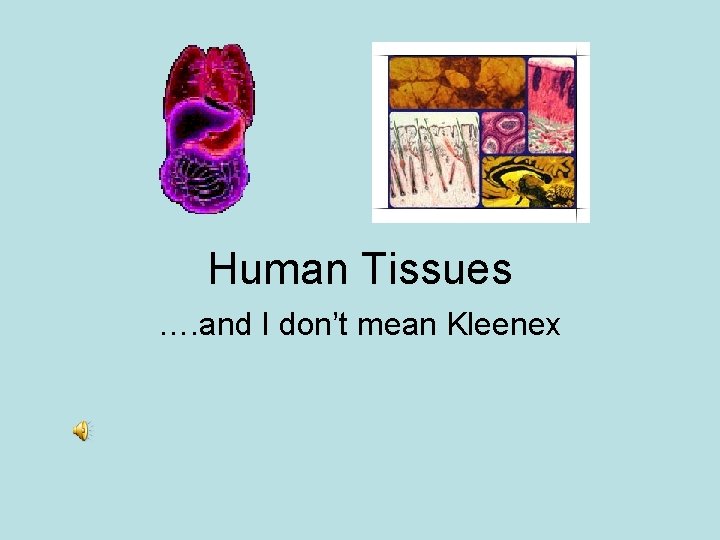 Human Tissues …. and I don’t mean Kleenex 