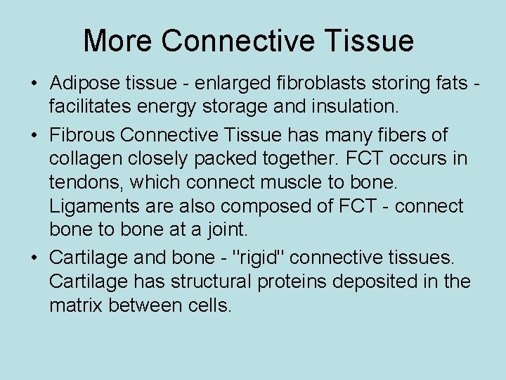 More Connective Tissue • Adipose tissue - enlarged fibroblasts storing fats facilitates energy storage
