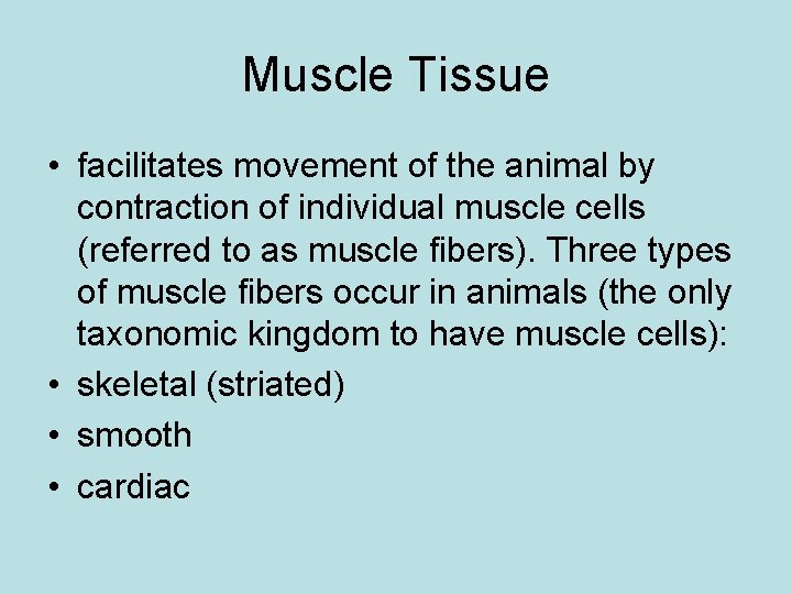 Muscle Tissue • facilitates movement of the animal by contraction of individual muscle cells