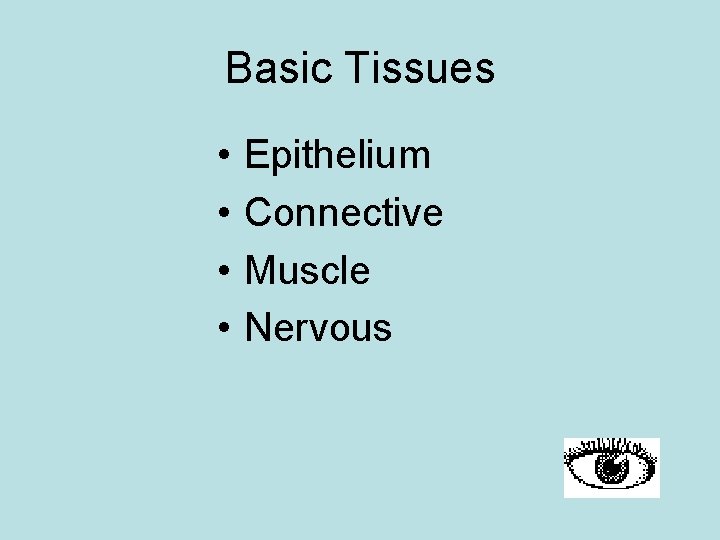 Basic Tissues • • Epithelium Connective Muscle Nervous 