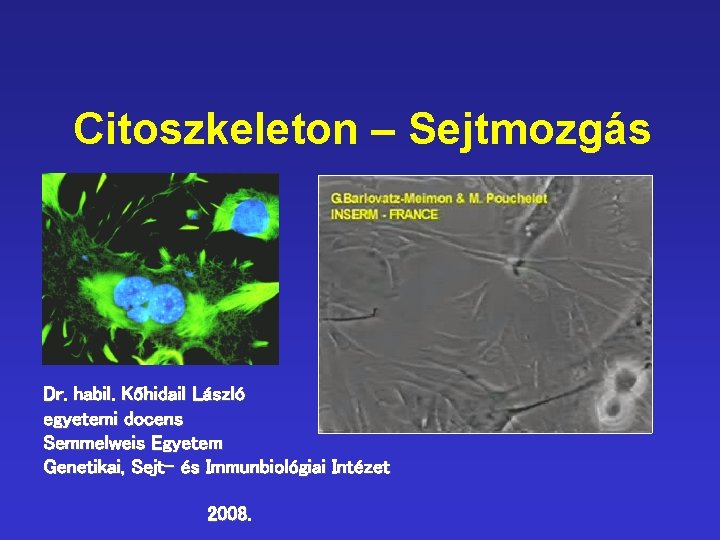 Citoszkeleton – Sejtmozgás Dr. habil. Kőhidail László egyetemi docens Semmelweis Egyetem Genetikai, Sejt- és