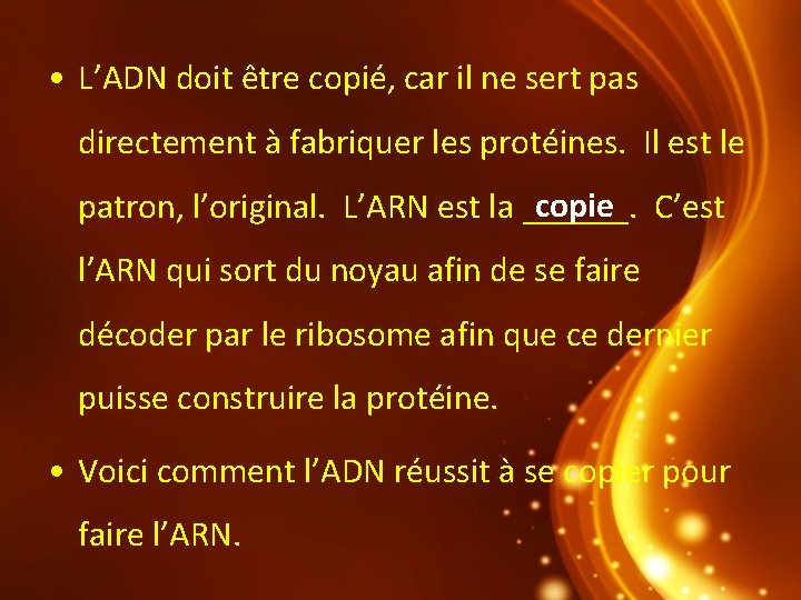  • L’ADN doit être copié, car il ne sert pas directement à fabriquer