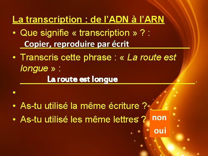 La transcription : de l’ADN à l’ARN • Que signifie « transcription » ?