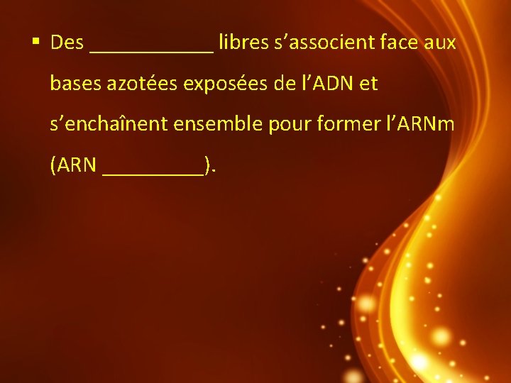  Des ______ libres s’associent face aux bases azotées exposées de l’ADN et s’enchaînent