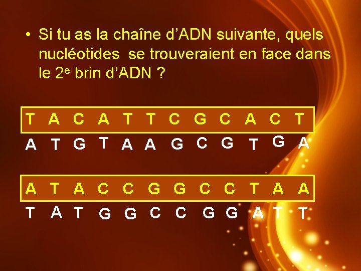  • Si tu as la chaîne d’ADN suivante, quels nucléotides se trouveraient en