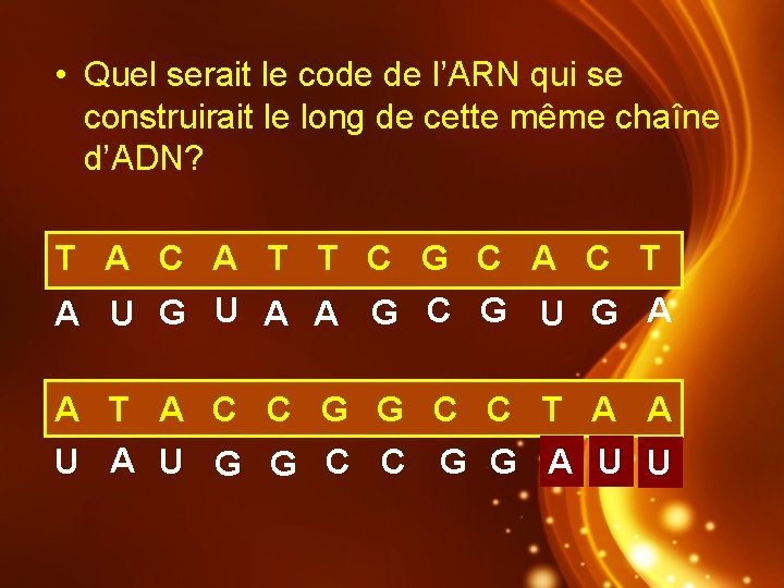  • Quel serait le code de l’ARN qui se construirait le long de