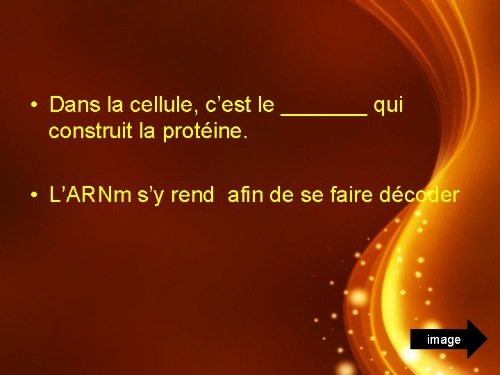  • Dans la cellule, c’est le _______ qui construit la protéine. • L’ARNm