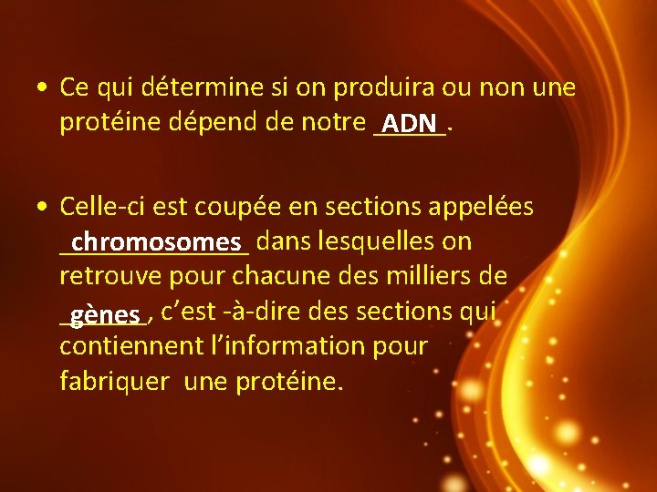  • Ce qui détermine si on produira ou non une protéine dépend de