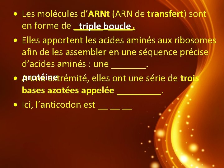  Les molécules d’ARNt (ARN de transfert) sont en forme de ______. triple boucle