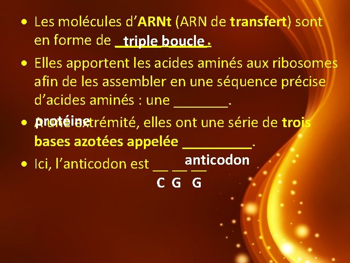  Les molécules d’ARNt (ARN de transfert) sont en forme de ______. triple boucle