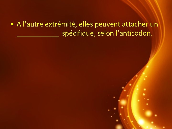  • A l’autre extrémité, elles peuvent attacher un ______ spécifique, selon l’anticodon. 