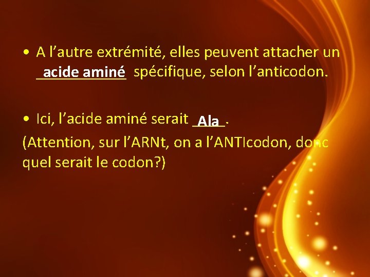  • A l’autre extrémité, elles peuvent attacher un ______ acide aminé spécifique, selon