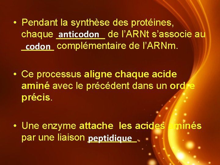  • Pendant la synthèse des protéines, chaque _____ anticodon de l’ARNt s’associe au