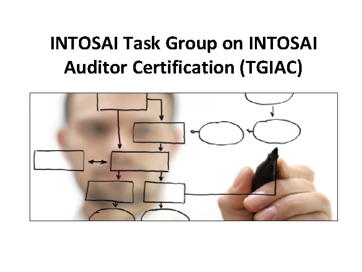 INTOSAI Task Group on INTOSAI Auditor Certification (TGIAC) 