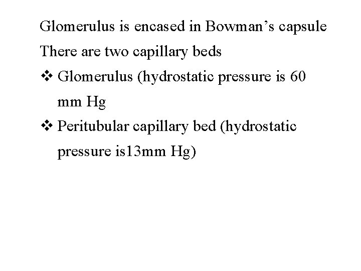 Glomerulus is encased in Bowman’s capsule There are two capillary beds v Glomerulus (hydrostatic