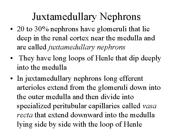 Juxtamedullary Nephrons • 20 to 30% nephrons have glomeruli that lie deep in the